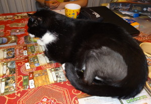 Kater am Spieltisch gibt Extrapunkte. Aber für welche Seite?